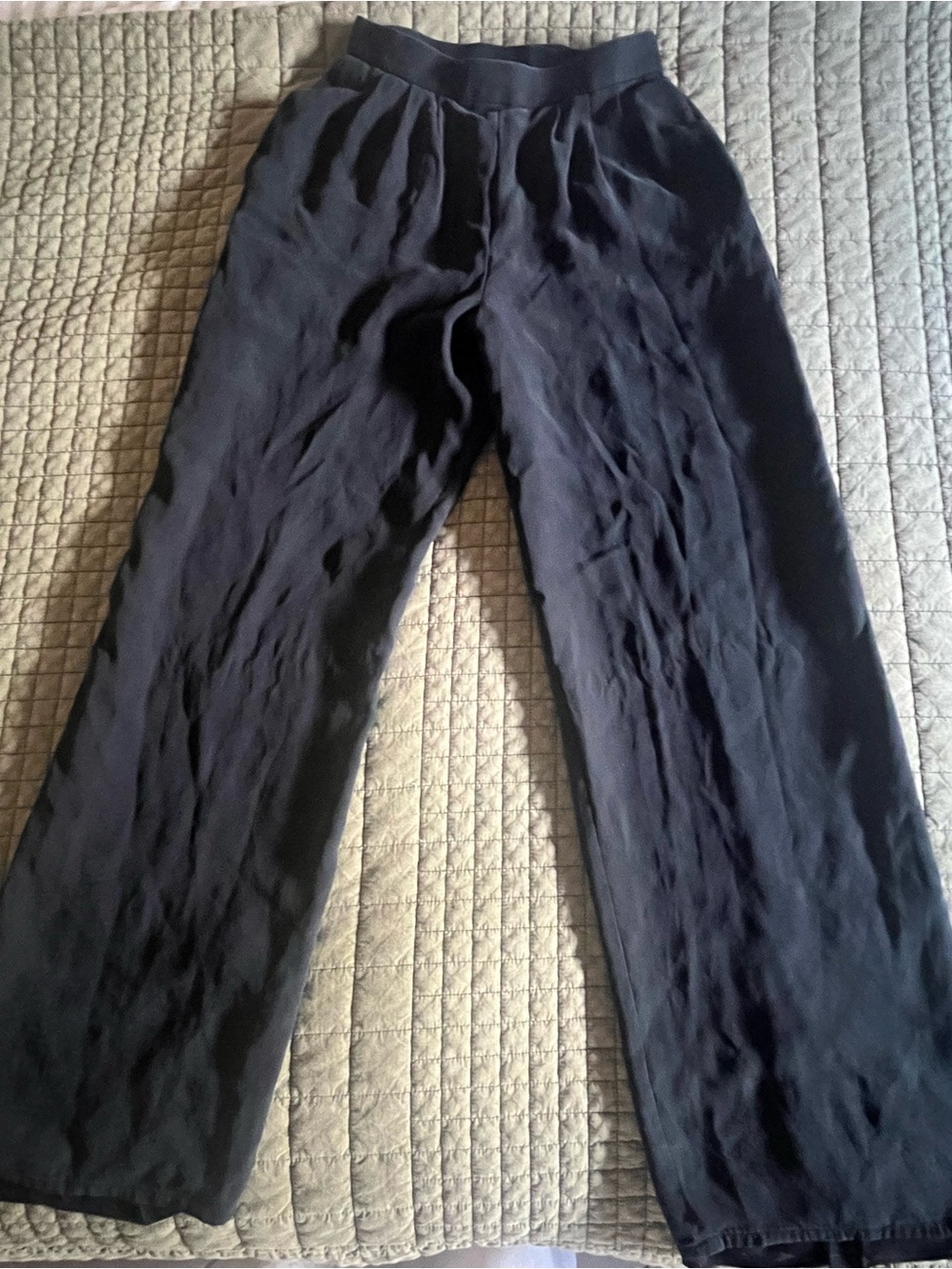 CARLISLE High Waisted Wide Leg Pleated Silk Pants Black Pull On Quiet Luxury